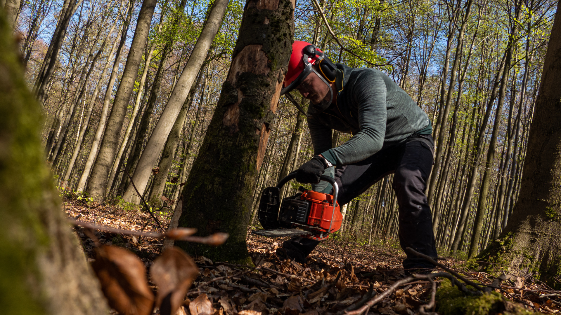 Nachhaltige Produktion 1