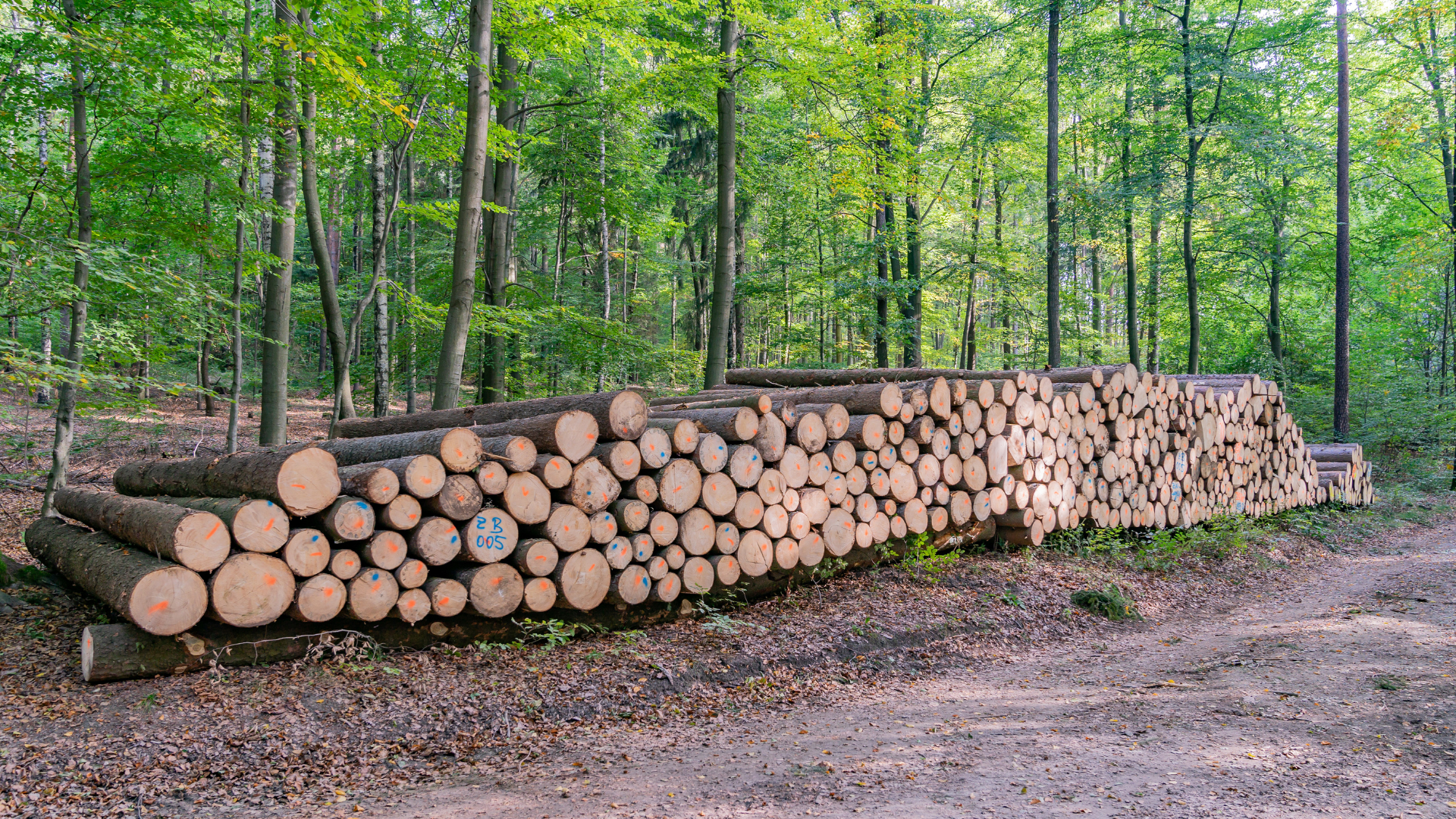 Nachhaltige Produktion 3